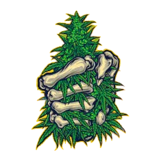 image 18-PhotoRoom (1) 2