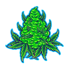 image 19-PhotoRoom (1) 3